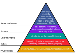 Maslow's Hierarchy of Needs Maslow's Hierarchy of Needs